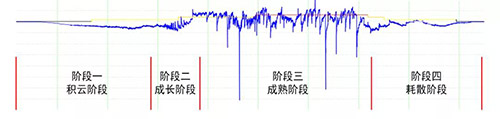 雷電預(yù)警系統(tǒng)為什么要使用大氣電場儀-波形圖