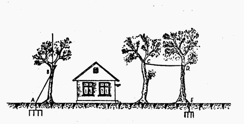 怎樣設(shè)計建筑物的防雷設(shè)備—利用樹木做避雷針的支柱