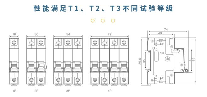 知名后備式保護(hù)器-試驗等級