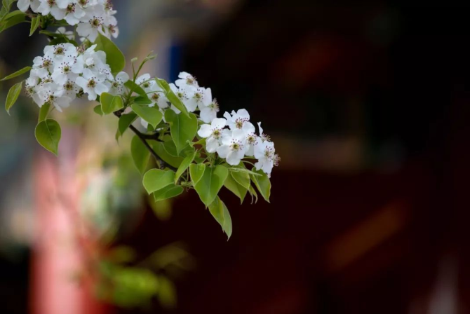 立夏丨春光萬象中，夏日初長成--易造防雷