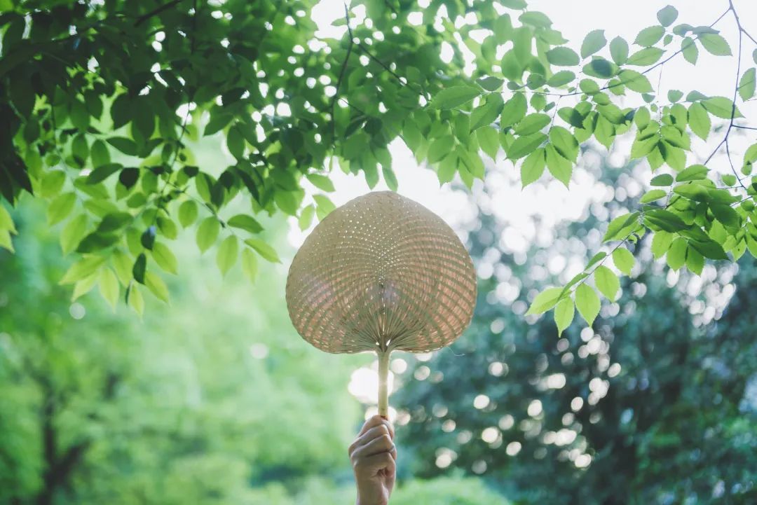 立夏丨春光萬象中，夏日初長成--易造防雷