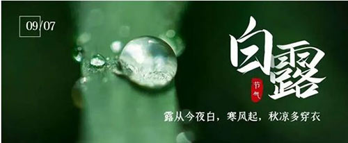 白露 | 夏意已去，涼秋來臨
